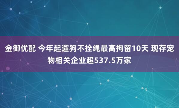 金御优配 今年起遛狗不拴绳最高拘留10天 现存宠物相关企业超537.5万家